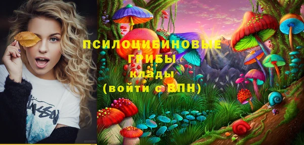 стафф Пролетарск