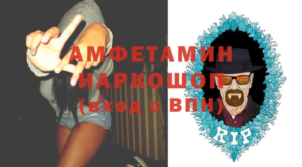 хмурый Алексин