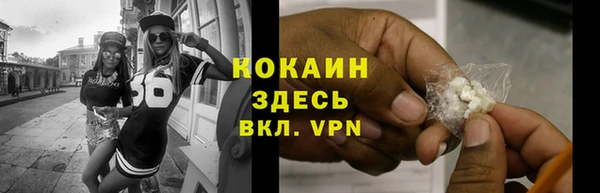 стаф Алзамай