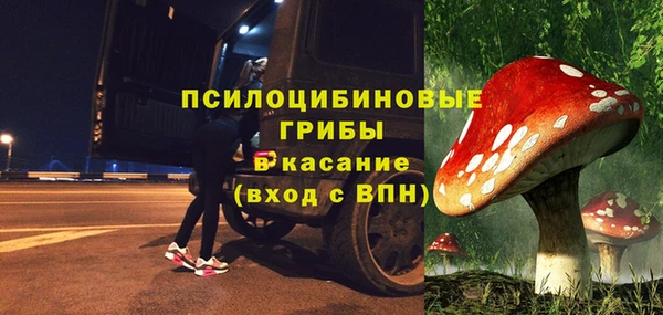 дмт Приозерск