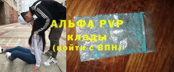 стаф Алзамай
