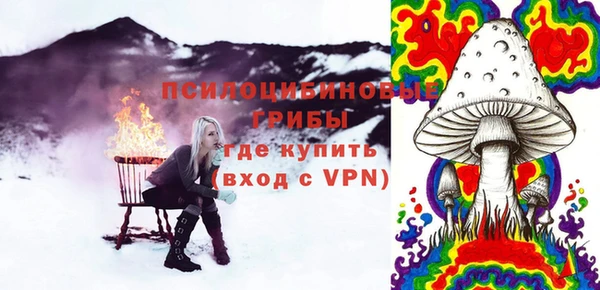 стаф Алзамай