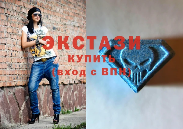стаф Алзамай