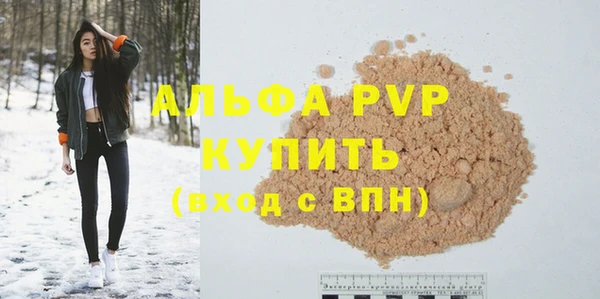хмурый Алексин